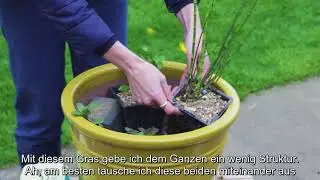 Wie man einen Topfteich anlegt!