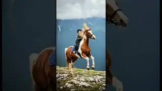 Funny horse dancing videos 86 #dancecommunity #viralvideo #animals