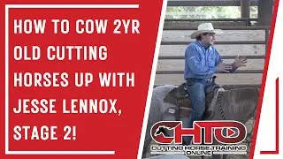 How To Cow 2yr Old Cutting Horses Up With Jesse Lennox, Stage 2!