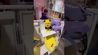 My dog got lost! He thought he found he&rsquo;s siblings 🤣 #pikachudog  #pokemon #pomeranian #dogshorts