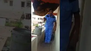 Removing a bee hive  cleanly by KARTHIK Lal