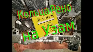 Кольца Рено на Узам 2.0 GOETZE. Renault Rings on Uzam 2.0 GOETZE