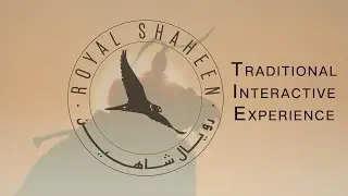 Traditional Interactive Falconry Experience