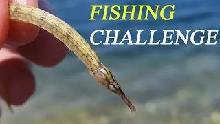 Fishing Challenge in Sea Fun Outdoor Activity for Kids