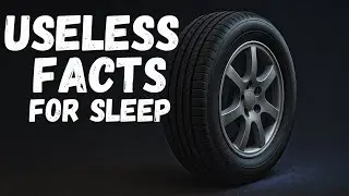 The Wheel &mdash; Useless Facts For Sleep