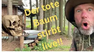 Der Tote Baum stirbt, Live !!!