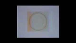 illusion.wvm - Analog Horror - The Abyss Project