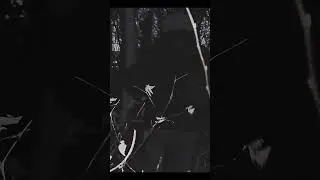 #takeda #rap #fypシ #hiphop #edit #music #freestyle #moscow #rapper #film #рекомендации #глобальный