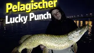 Pelagisch auf der Jagd nach dem Meter