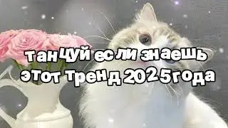 Танцуй если знаешь этот тренд 2025 года 🍓