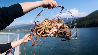 Crabbing and Dock Fishing at Barnet Marine Park | EP39