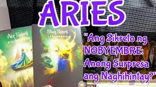 ARIES 