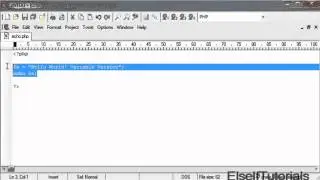 PHP Echo