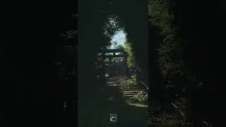 Whispers of Kyoto 京都 | Unreal Engine 5.4 | 3D Environment Art