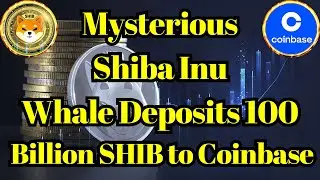 Altcoin Today | Mysterious Shiba Inu Whale Deposits 100 Billion SHIB to Coinbase Ahead of FOMC