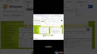 How to Use SEO Quake to Track and Improve Your SEO Performance! #shorts  #seo
