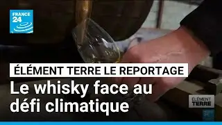 La disparition des tourbi&egrave;res menace le whisky &eacute;cossais &bull; FRANCE 24