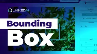 🟦 Bounding box annotation LinkedAI| 2️⃣ Software de anotación de datos
