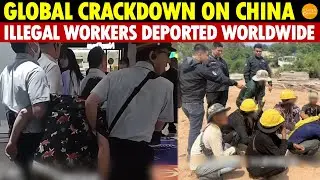 Japan and South Korea Say 'Enough': Massive Crackdown on Illegal Chinese Workers!