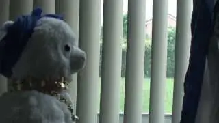 TINY the Twerkin Arpakasso