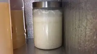 sake homebrew 20days timelapse 自釀清酒縮時攝影