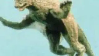 Toho Tribute: VARAN