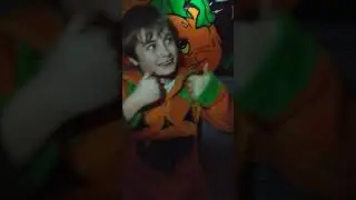 Samuel's Halloween Shed at Rathduff Cottage 2022