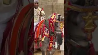#music #azare #azare horse riders.  #arewa #trending