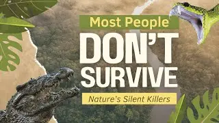 5 Most Dangerous Animals That Kill Instantly!