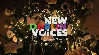 New Dublin Voices - 