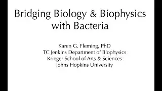 Bridging Biology and Biophysics with Bacteria | Johns Hopkins Center for Talented Youth