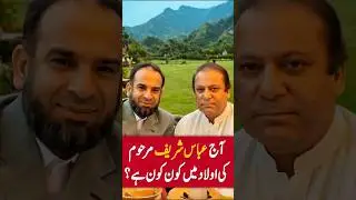 Mian Abbas Sharif &ndash; The Noble Politician Who Left Jail Only After Prayer 🕌✨ #AbbasSharif