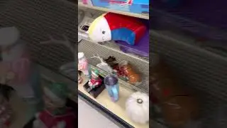 Магазин Hobby Lobby после рождественской распродажи