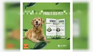 Review: Avert Seniox 500 30 Capsulas Omega-3 Suplemento C&atilde;es Gatos