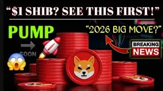 Shiba inu massive update 😱 big burning done 🔥 Shiba inu coin l Shiba inu coin news today l crypto