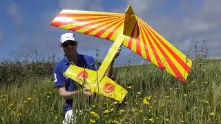 Forward sweep Canard. RC Glider Sloping.