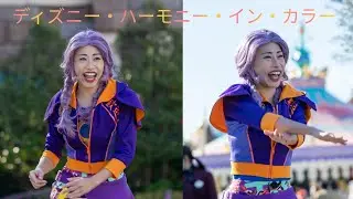 [4K] TDL ディズニー・ハーモニー・イン・カラー 2024年12 月14日 1stアウト側座り最前