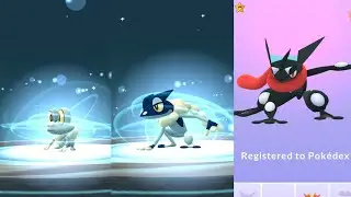 ✨ shiny froakie fully evolved in Pokemon go #shinypokemon #greninja #evolution #pokemonevolution