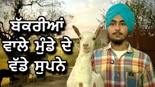 ਬੱਕਰੀਆਂ ਵਾਲੇ ਮੁੰਡੇ ਦੇ ਸੁਪਨੇ ਵੀ ਵੱਡੇ ਫਾਰਮ ਦੇ ਆ । YOUNG PUNJABI BOY GOAT FARM 