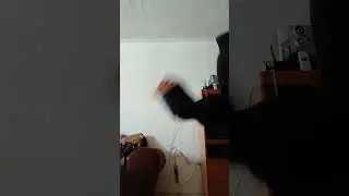 me torsi