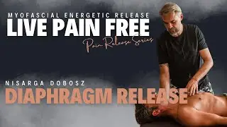 𝗙𝗿𝗲𝗲 𝗬𝗼𝘂𝗿 𝗗𝗶𝗮𝗽𝗵𝗿𝗮𝗴𝗺: 𝗥𝗶𝗯𝘀, 𝗤𝗟 & 𝗜𝗹𝗶𝗮𝗰𝘂𝘀 | 𝗠𝗘𝗥 𝗗𝗲𝗺𝗼 with 𝗡𝗶𝘀𝗮𝗿𝗴𝗮