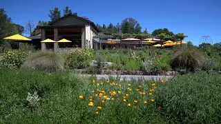Hop on the Wine Road this Summer!
