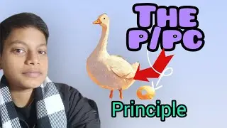 Why balance is necessary | The P/PC principle#communication #theparadigmshift #book 📚