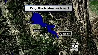 Dog Drops Human Skull In Clearlake Man&rsquo;s Yard; Body Found 100 Yards Away