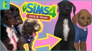 Making My REAL Pets in THE SIMS 4 CATS & DOGS!