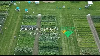 Forschungsprojekt CATCHY Film 6 von 6