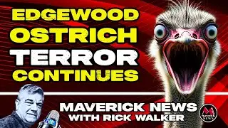 Edgewood Residents Break Silence: The Hidden Terror of the Ostrich Protests