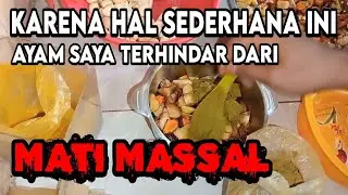 JANGAN SAMPAI MATI MASSAL LAKUKAN HAL SEDERHANA INI