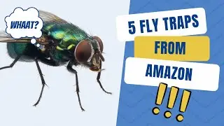 TIKTOK MADE ME BUY IT💥Best Fly Traps Amazon Must Have | How To Get Click Description