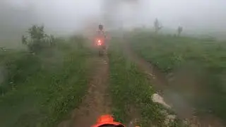 Lost in the jungle :)